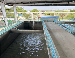 ����Լ300��������ˮˢ����Ŀ